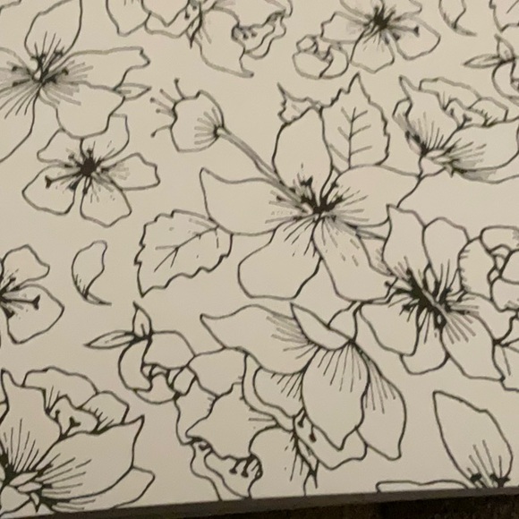 The Time Garden Adult Coloring Book 📖 by Daria Song, Magical Journey - Picture 3 of 10